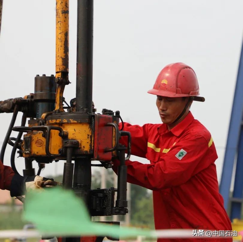 特别策划案例,特别策划系列