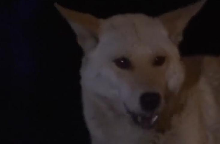 湖南村民家中怪事之谜,湖南农户发生怪事一到半夜门响