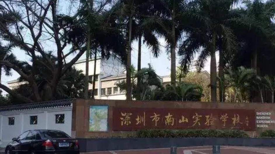 深圳南山真的那么强吗,深圳南山强吗
