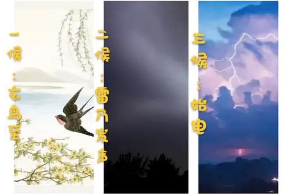 二十四节气春分食谱,二十四节气春分谚语