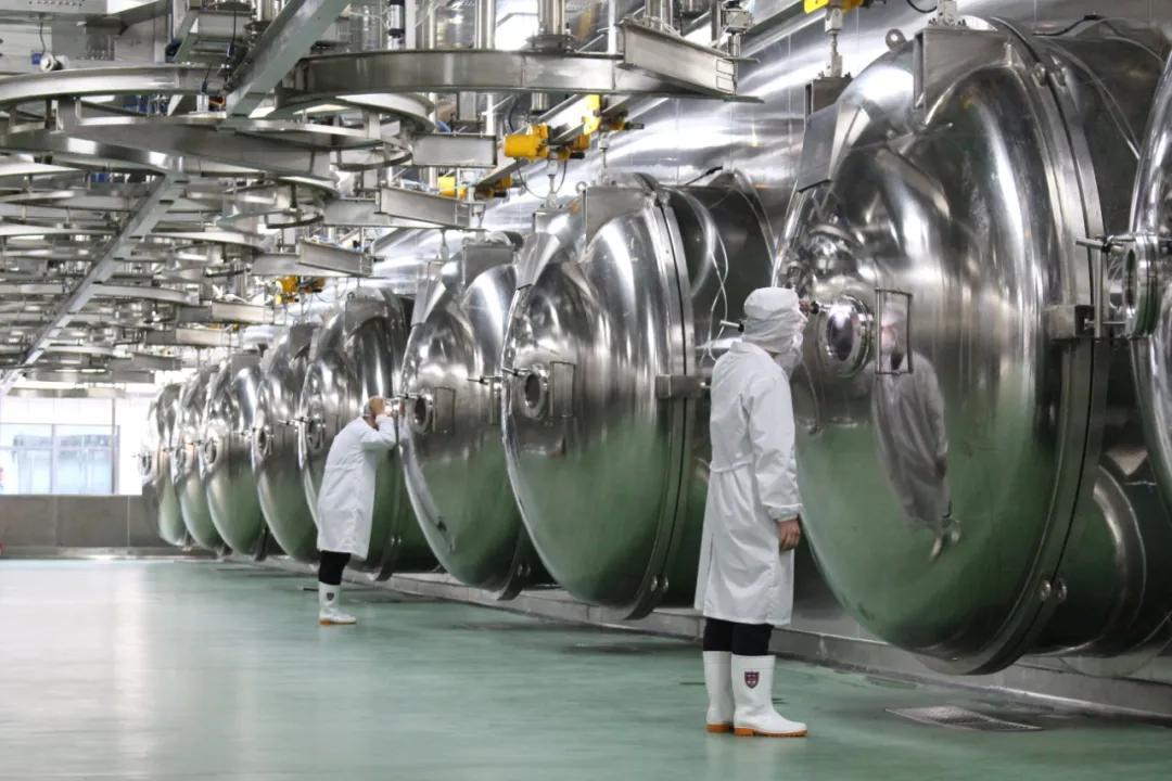 2020中国食品企业十强,2023全国食品企业排名