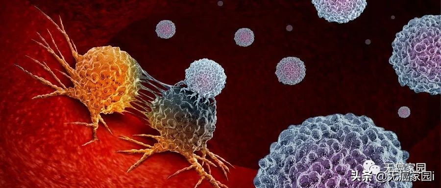 医保天价药谈判视频,医保谈判天价药谈出了平民价