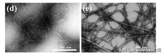 纤维素纳米晶体长宽比对所有CNC薄膜性能的影响被膜和木材CNC