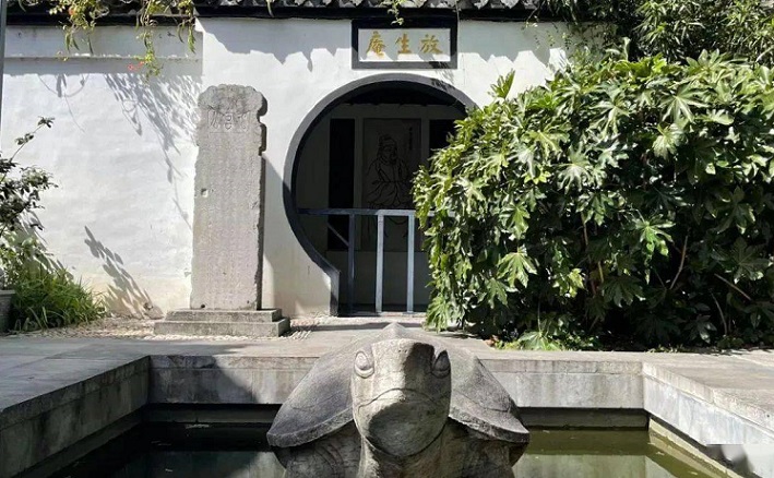 12月南京有哪些免费景点,南京市民免费旅游景点