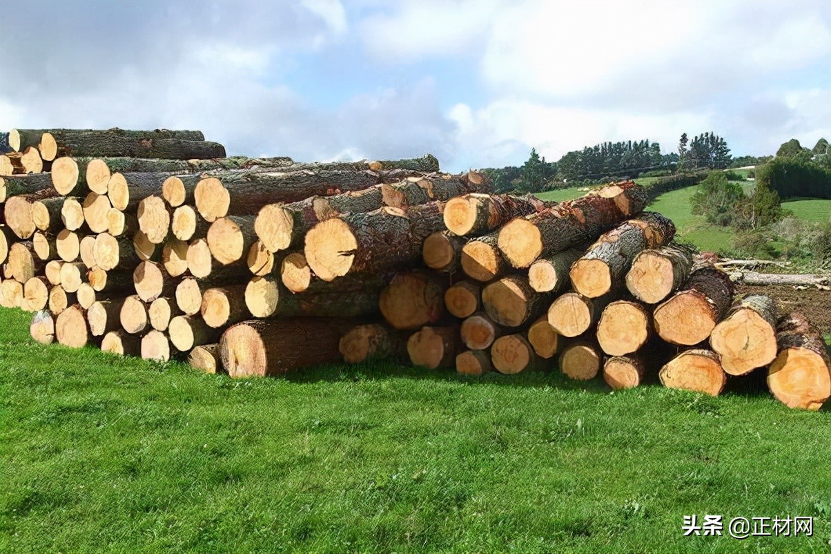 什么是辐射松作用,辐射松是做什么用的