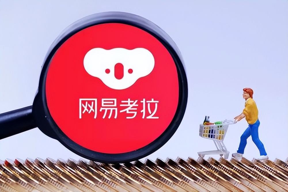 考拉海购被阿里巴巴收购了吗,网易考拉海购发展情况