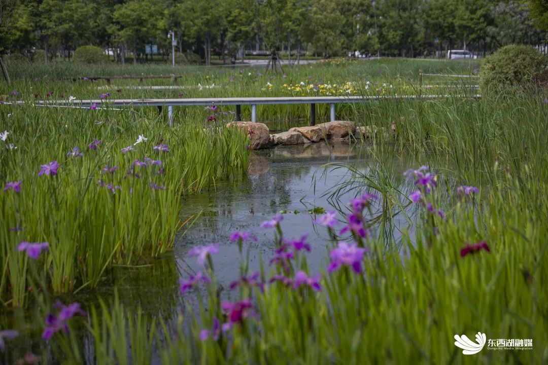 武汉东西湖奥林匹克花园,武汉东西湖碧海花园