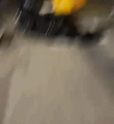 江苏偷猫事件,偷猫人被抓新闻