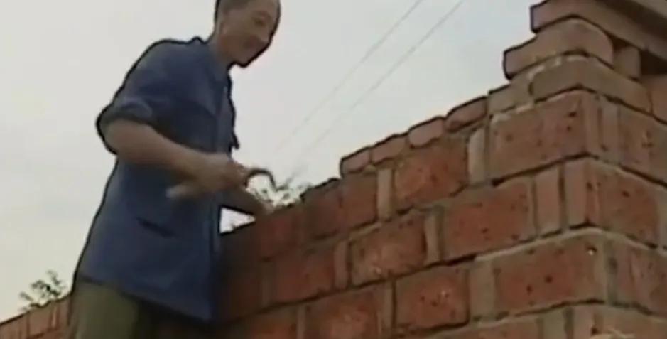 蝎子扎堆蜇人吗,东北有野生蝎子蜇人有生命危险吗