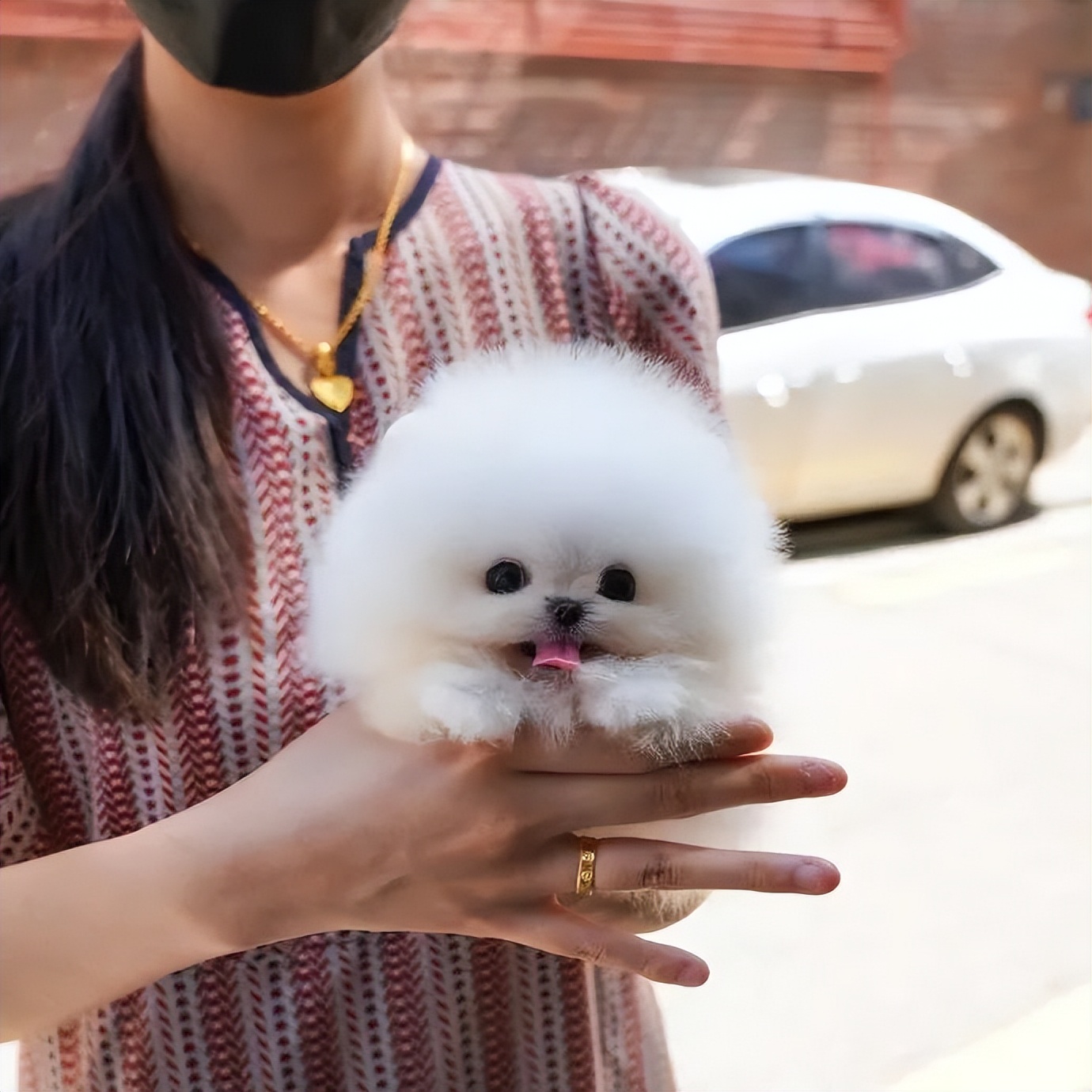 谐音梗搞笑段子全部,谐音梗搞笑的段子