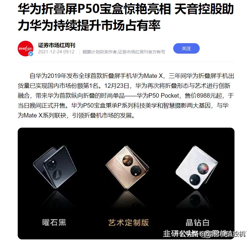 天音控股平台,天音控股海外业务