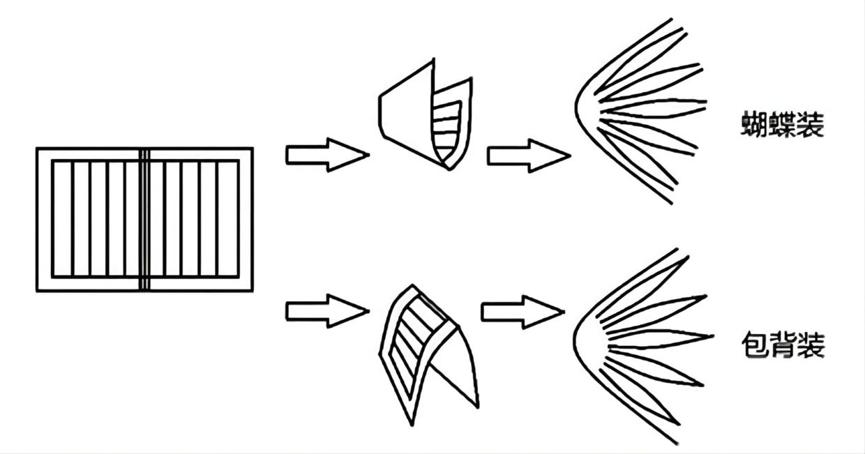 大珊老师：我们习以为常的“书”原来有这么多奥妙