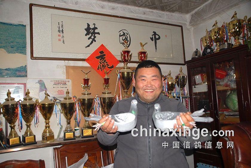 鸽界那些事,鸽界的那些事