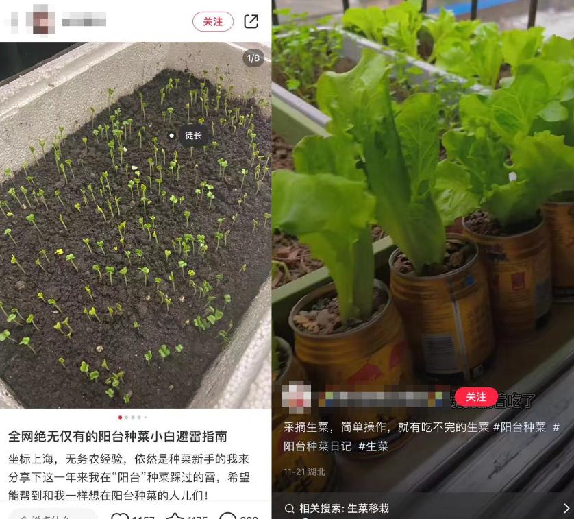 娣樺疂鍗佸ぇ瀹濊礉,娣樺疂骞村害鍗佸ぇ鍟嗗搧