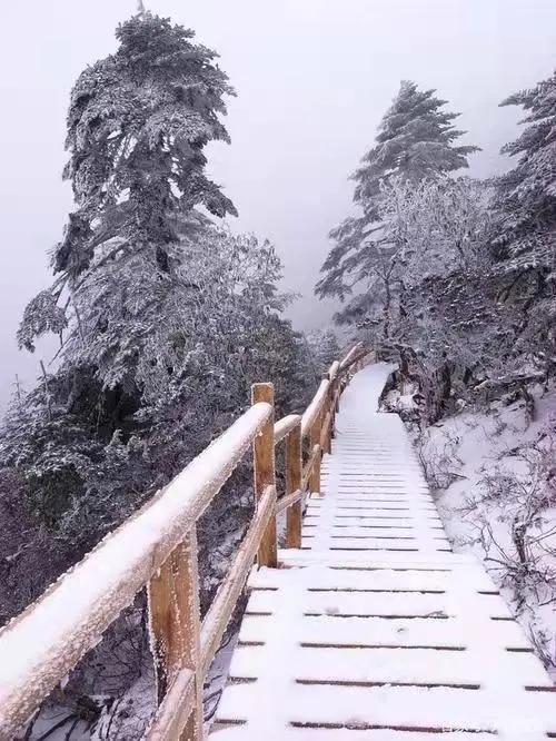 春节旅游最佳去处云南旅游攻略,春节云南旅游必去的景点推荐