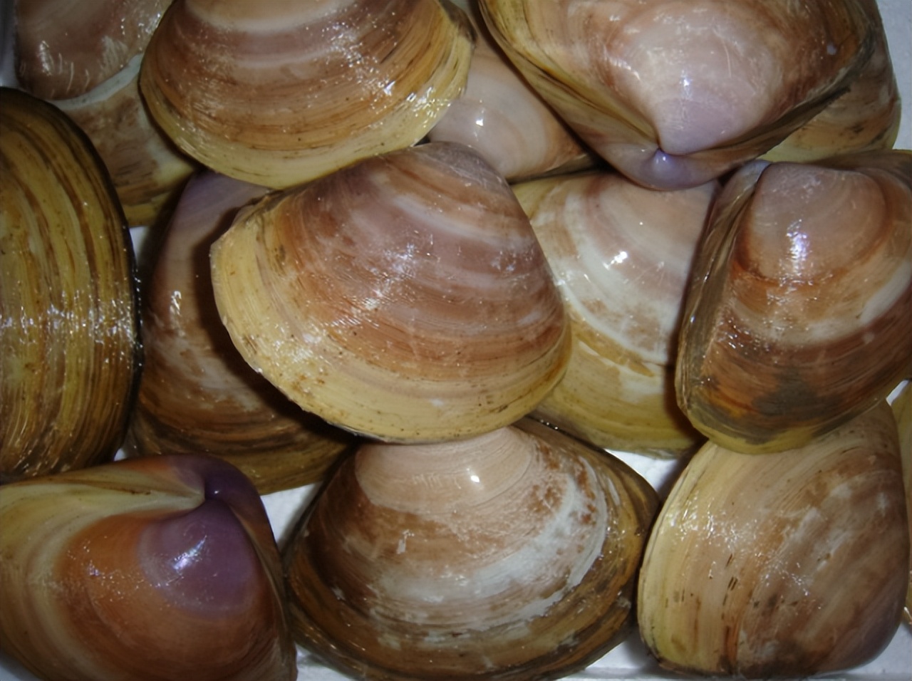 岛城老味道,青岛老味道中山路店