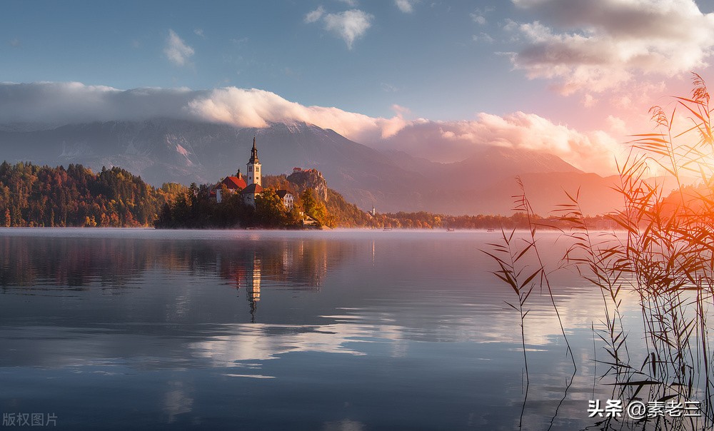 女作家去做保姆和雇主过招,女作家去做保姆982集