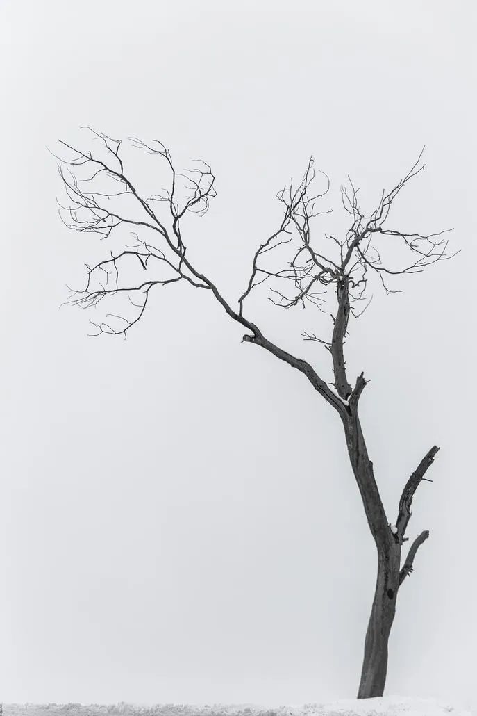 如何拍出高级感照片风景山海,摄影风景怎么拍出高级感