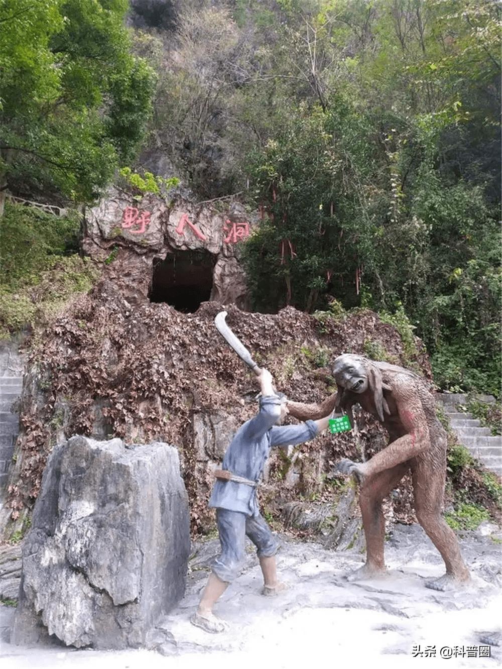 神农架深处被列为禁区的现象,神农架深处为何被列为禁区进不去