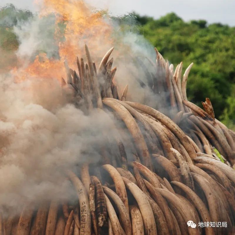 在坦桑尼亚的中国老板,赞比亚中国老板的快乐福地