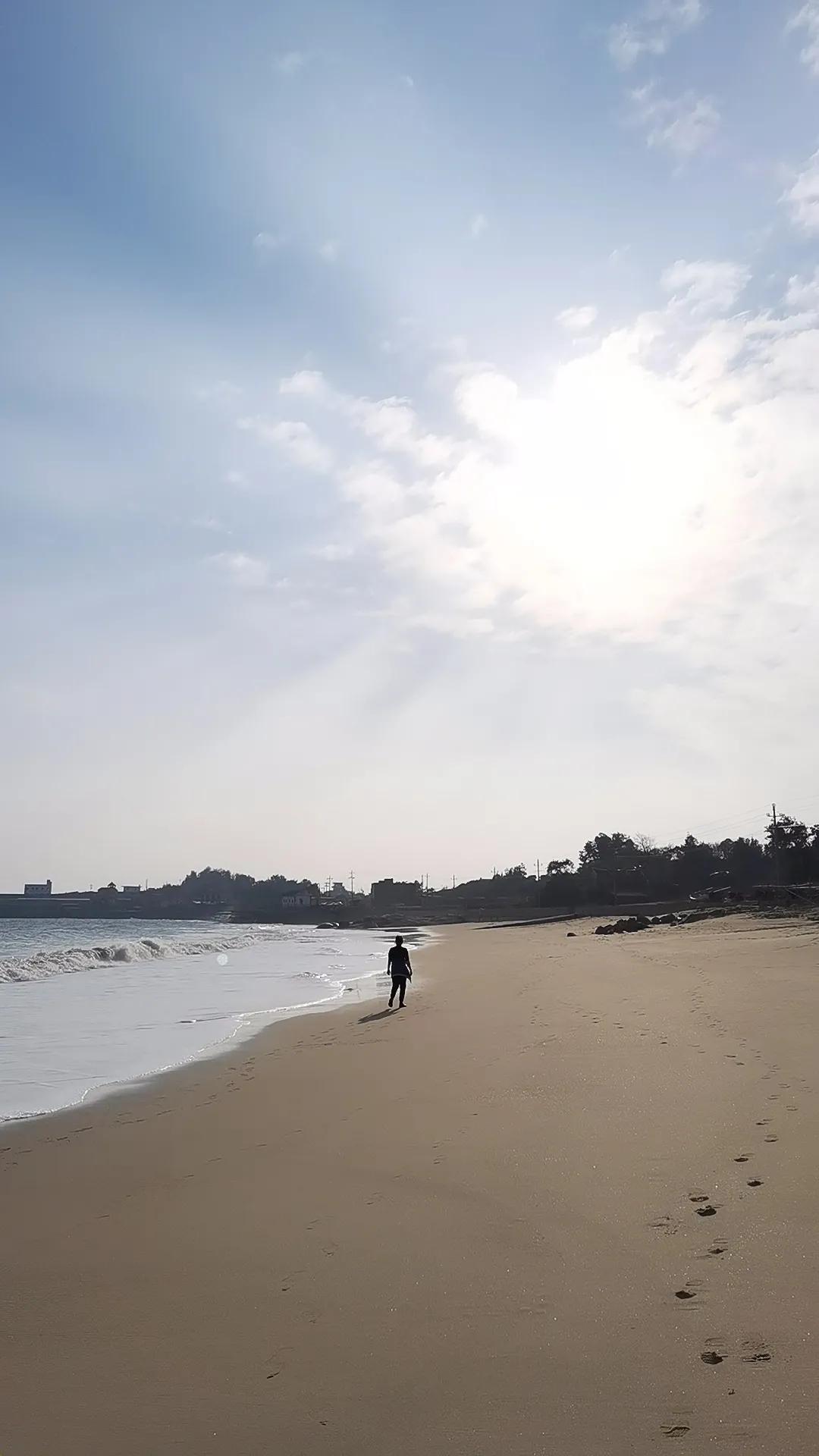 共享汽车租用如何操作,共享汽车租用