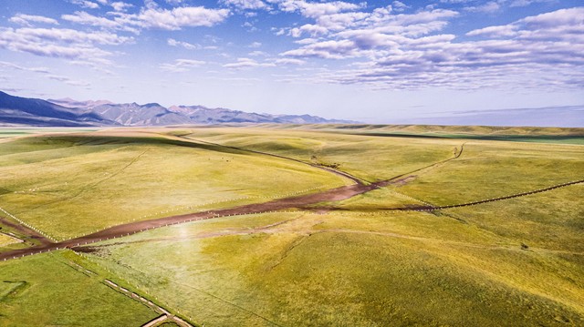 老人临死前要回老房子,老人临终前将房子赠给保姆合法吗