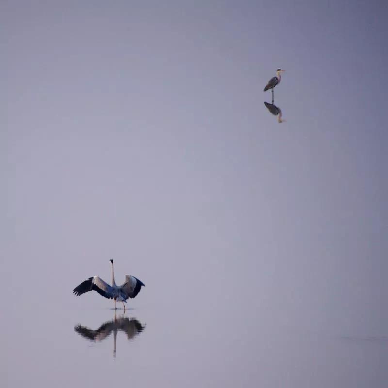 杭州西湖微信头像图片,杭州风景图片头像