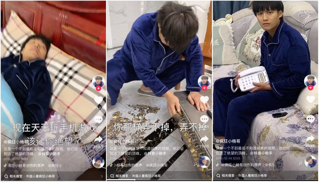 抖音网红谈辛巴,网红辛巴抖音