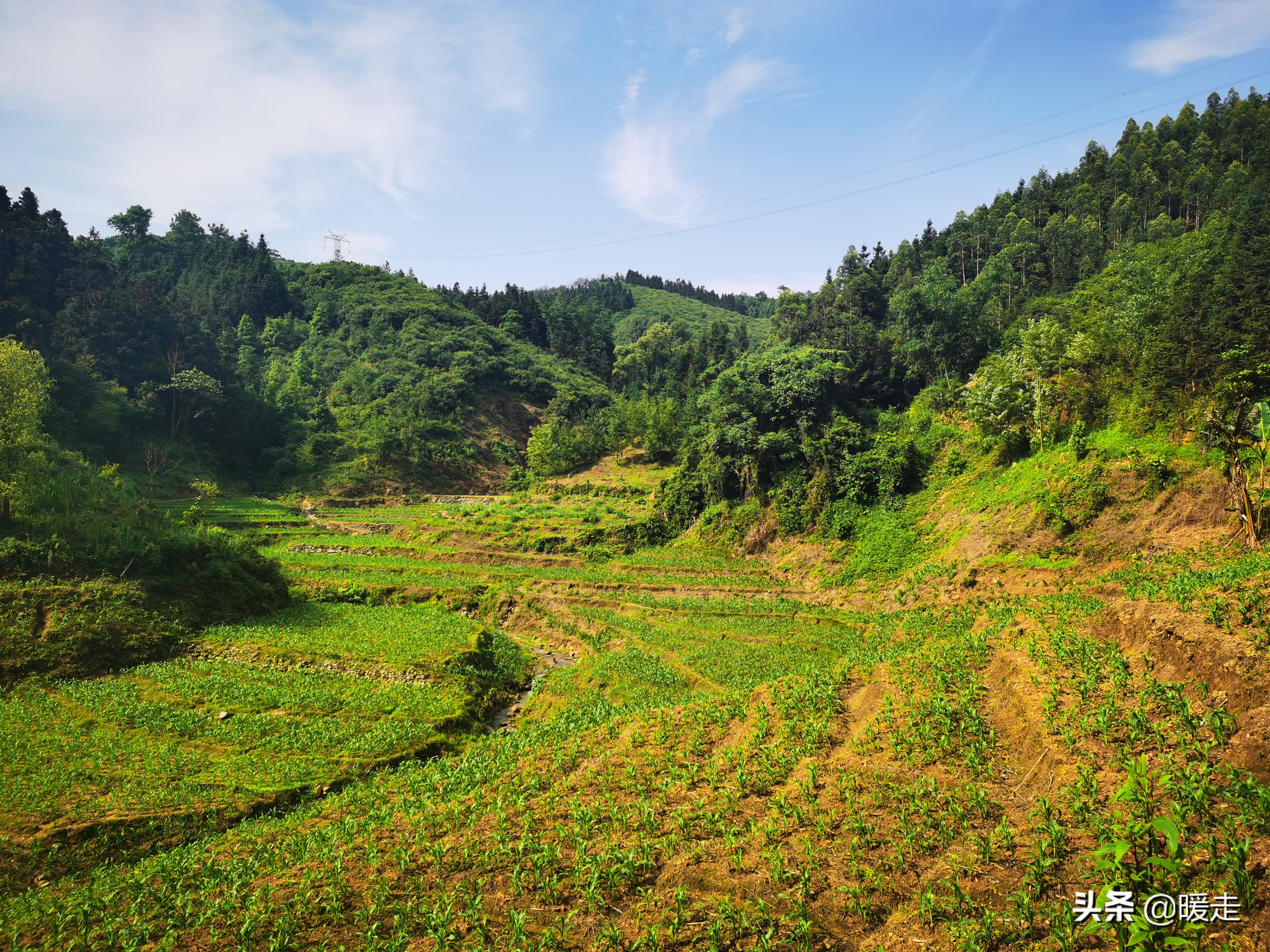 广西农民种田,乡村种田的生活视频