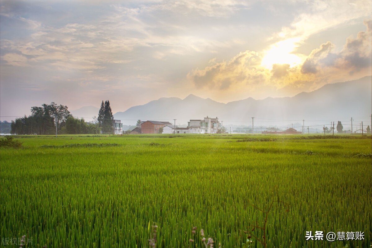 2023女性为国争光案例,为国争光外国女人