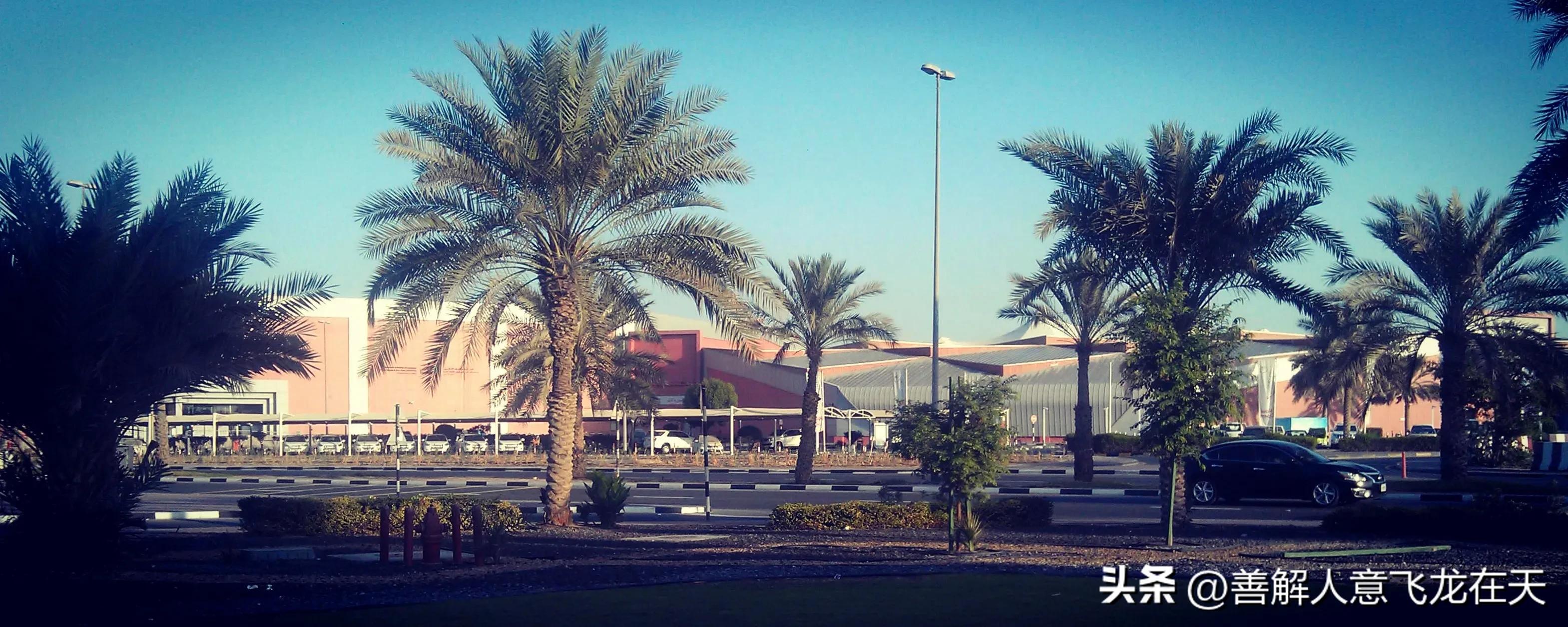 迪拜快三是哪里发行的,迪拜塔