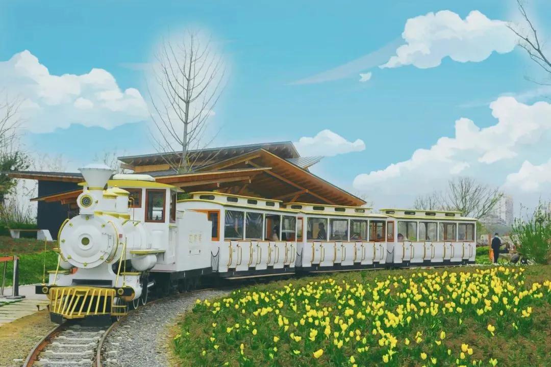 大草坪放风筝,草坪大风筝