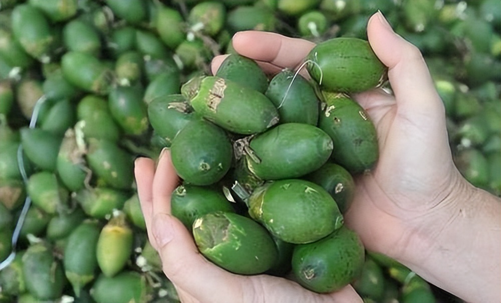 火腿肠是癌症“催化剂”?医生:不止香肠,这6物,劝你或要少碰