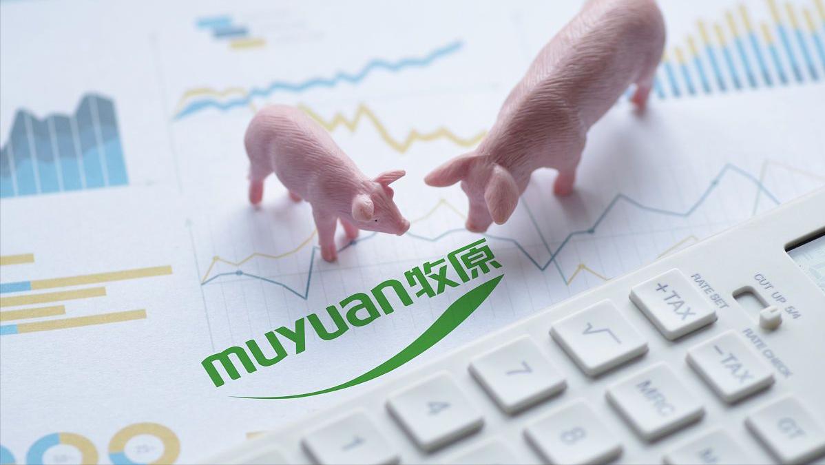 今日猪价5月2日猪价表,今日猪价5月18日猪价表