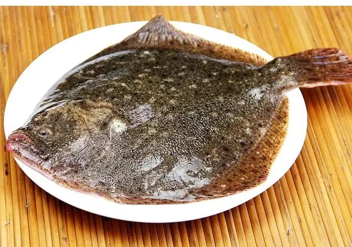 现在的养殖业什么最有发展前途,现在农村养殖业什么前景最好