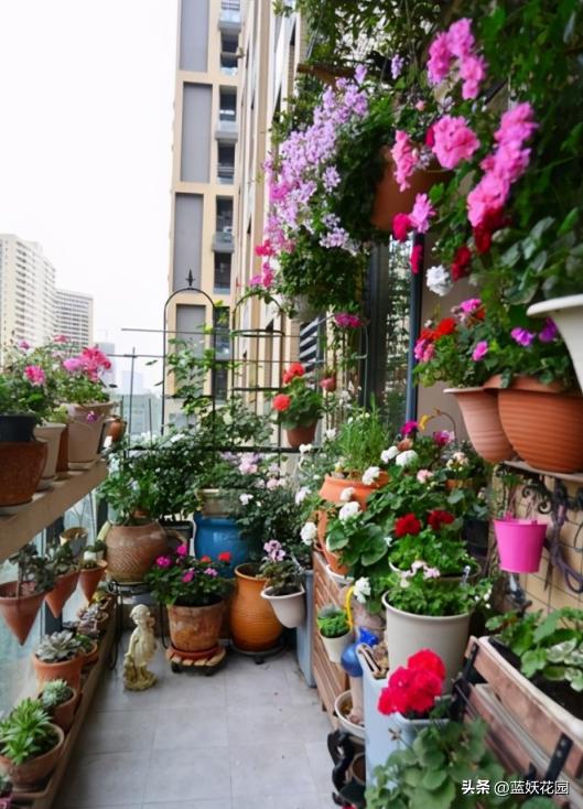 为什么我买的盆栽花总是养不活,为什么买来的花绿植总是养不好