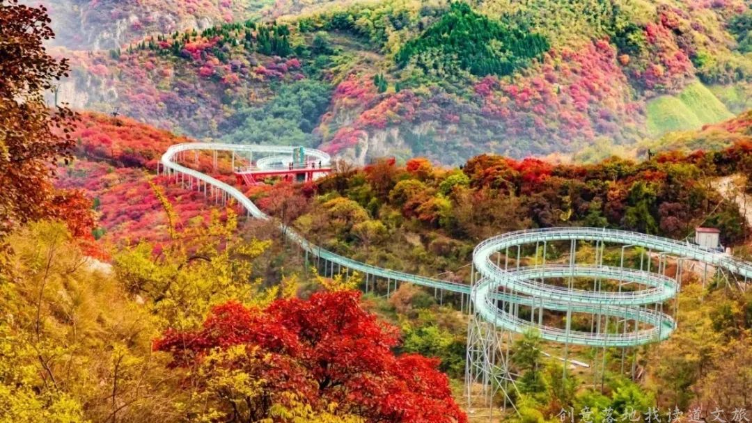 解析全国16个整村运营,解码全国16个整村运营经典案例