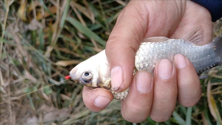 选鱼竿怎么选才好用又实惠,为千万钓友挑选好鱼竿