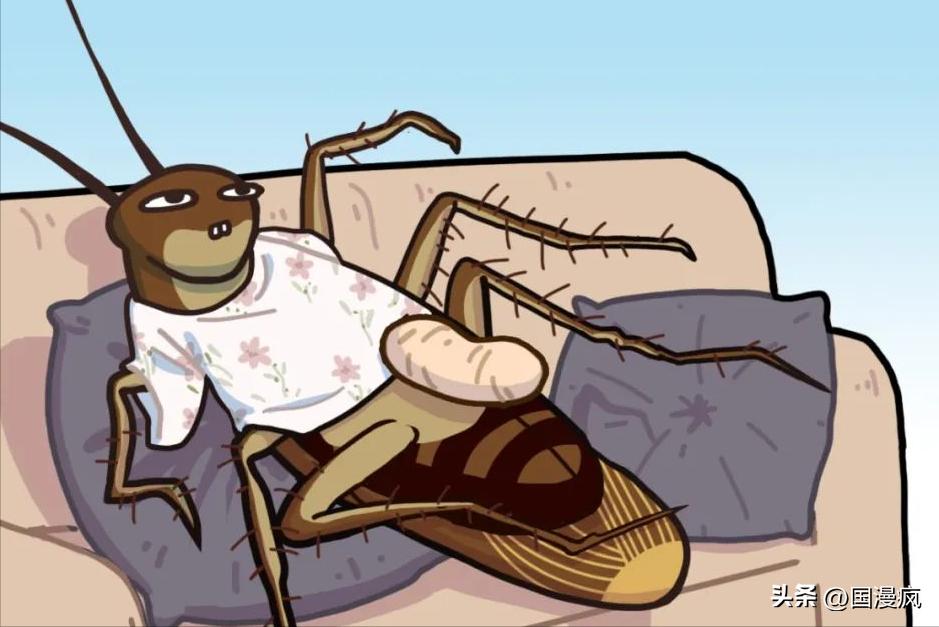 全国最大的蟑螂养殖基地在哪里,中国蟑螂养殖第一人