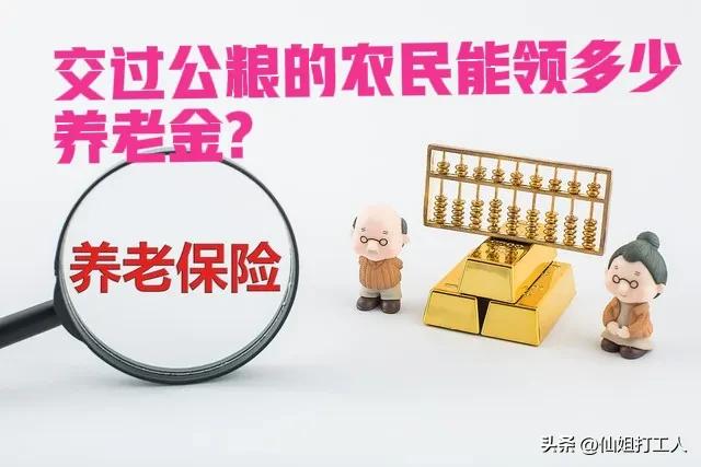 交过公粮的农民何时领到养老金,交过公粮的农民怎么领取养老金