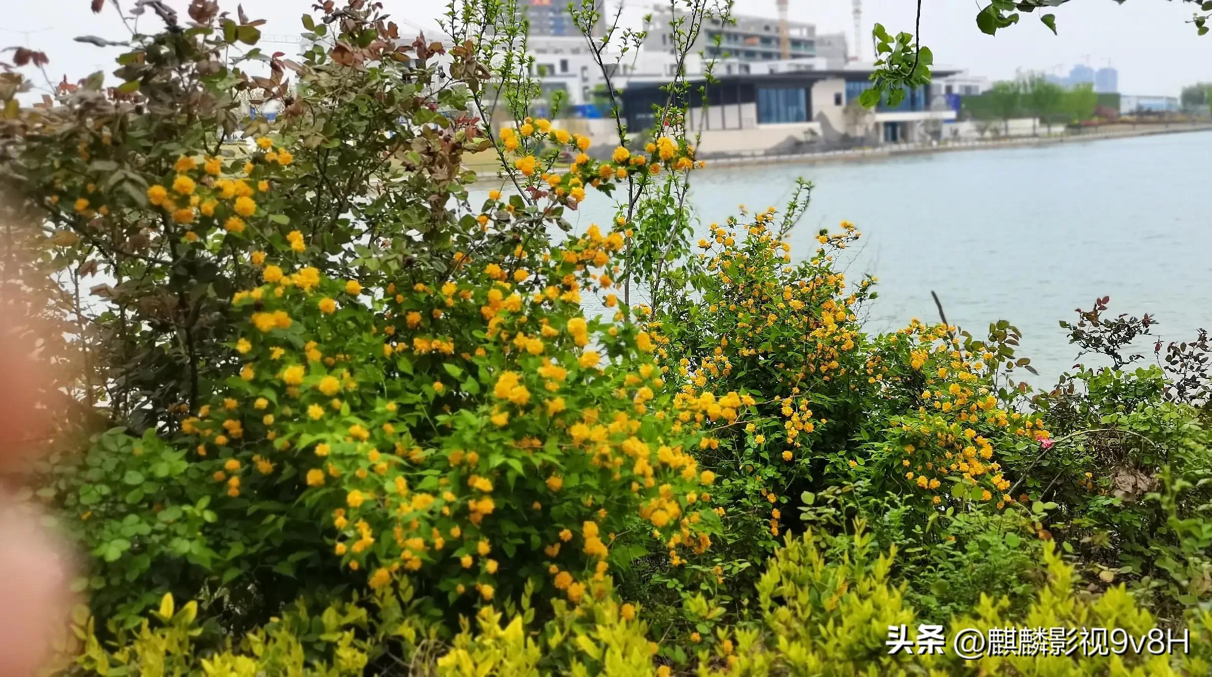 兴趣是最好的老师英文,兴趣是最好的老师原句