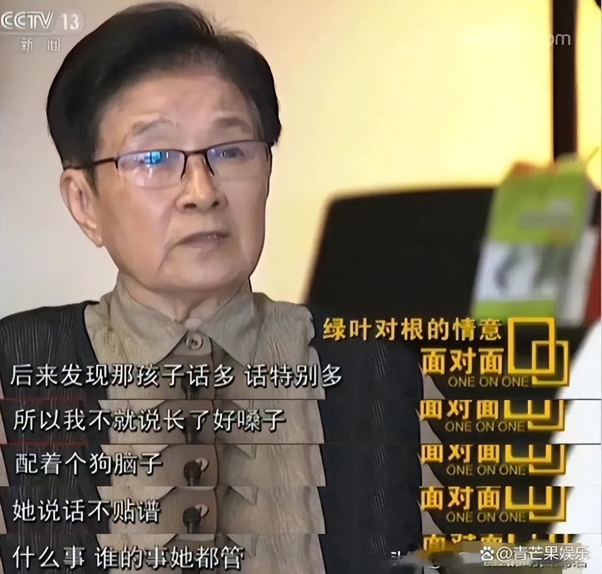 那英怒踹粉丝,那英当众踹粉丝惹争议