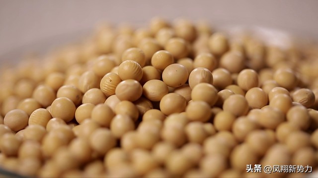 「大豆」掉价中，价格已更新2022·12·6
