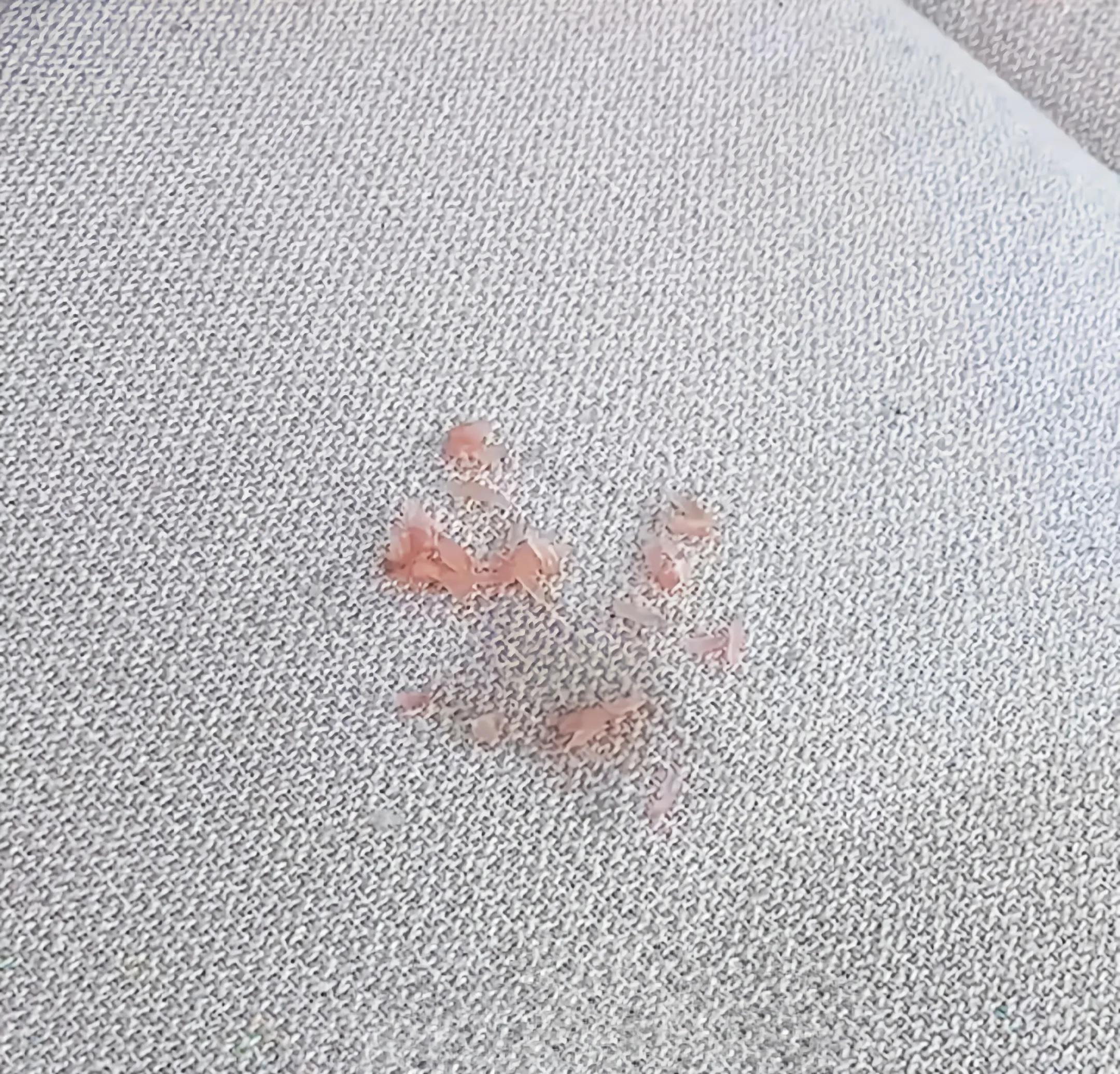 鞋柜小妙招,家里的鞋柜很臭怎么办小妙招视频