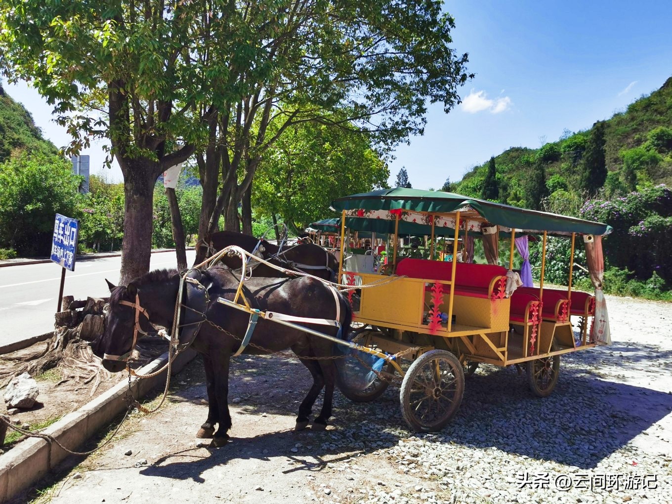「流离在核酸检测时代的旅行」(普者黑）