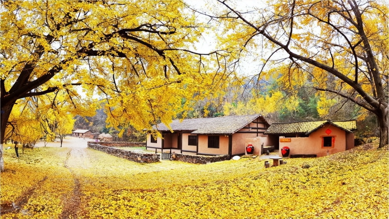 湖北宝藏旅游景点,湖北的宝藏旅行地恩施