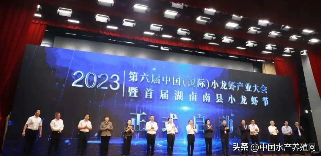 2023年南县小龙虾价格行情,南县小龙虾价格报价