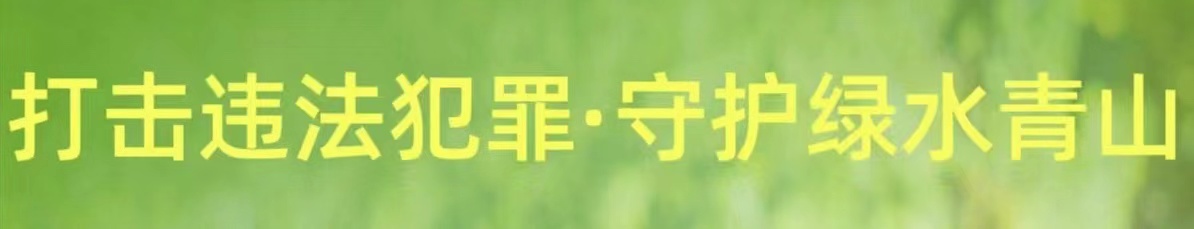 警方严查一起环境污染违法案,环境污染犯罪典型案例及处置结果