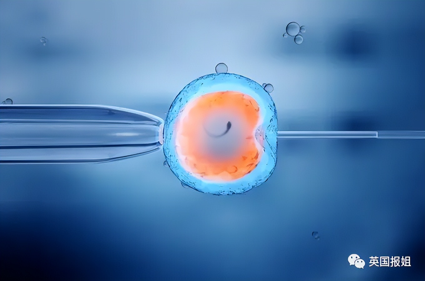 日本富豪生一个孩子奖1亿,重金求子日本人