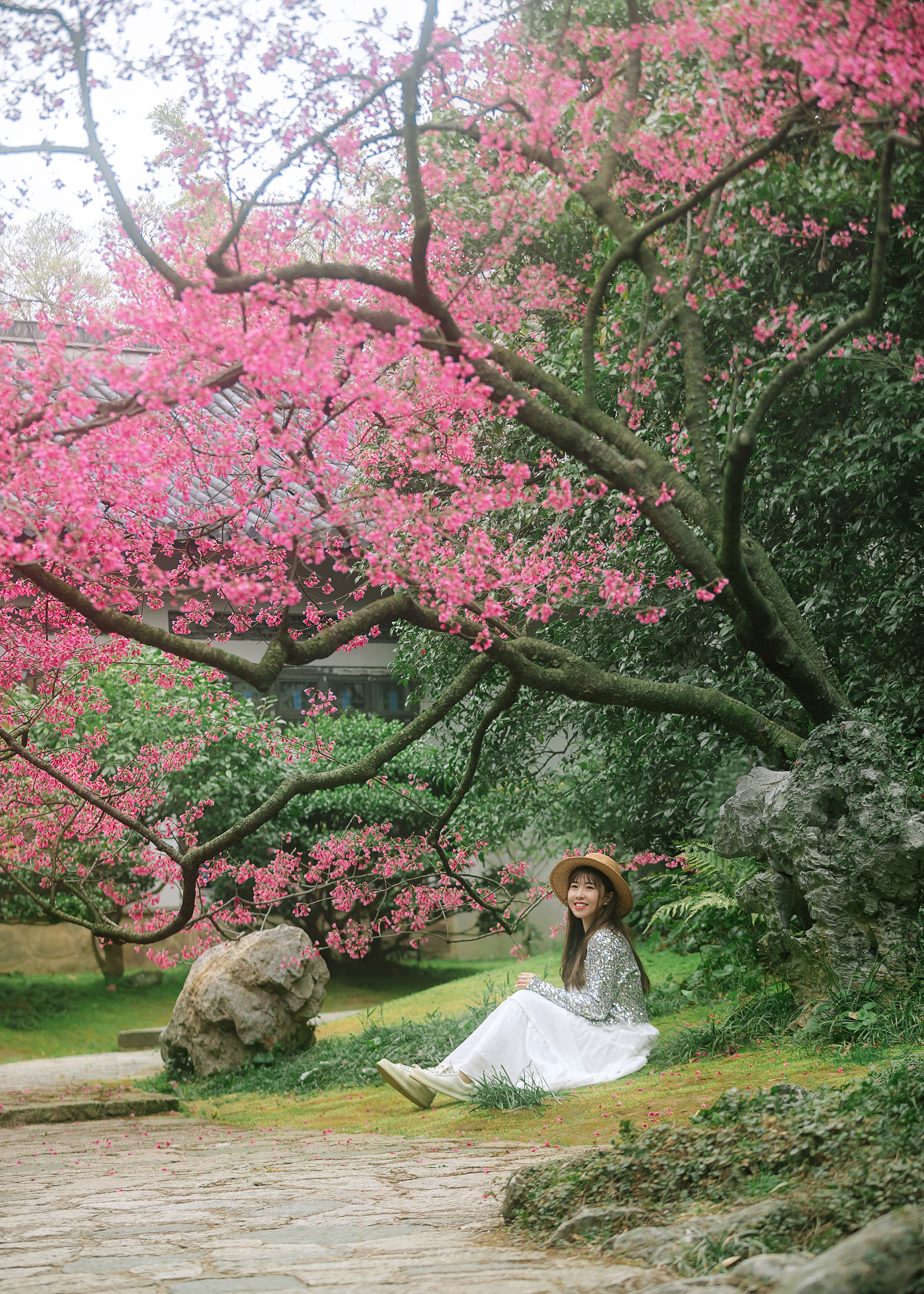 鼋头渚樱花盛宴比日本更令人沉醉,太湖鼋头渚樱花美如画